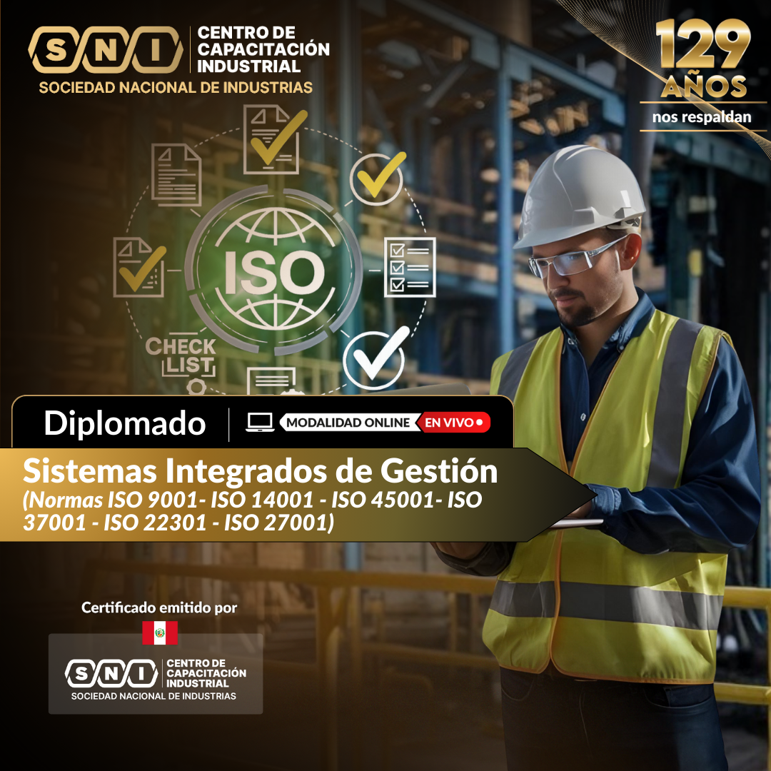 Diplomado en Sistemas Integrados de Gestión